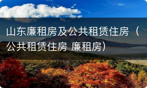 山东廉租房及公共租赁住房（公共租赁住房 廉租房）