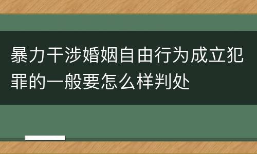 暴力干涉婚姻自由行为成立犯罪的一般要怎么样判处