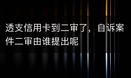 透支信用卡到二审了，自诉案件二审由谁提出呢