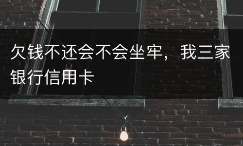 欠钱不还会不会坐牢，我三家银行信用卡