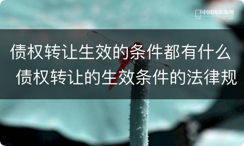 债权转让生效的条件都有什么 债权转让的生效条件的法律规定