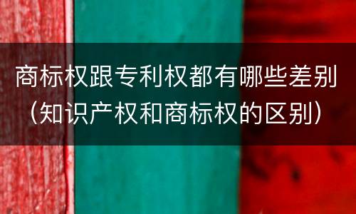 商标权跟专利权都有哪些差别（知识产权和商标权的区别）