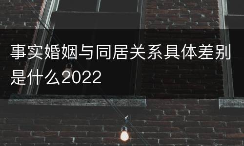 事实婚姻与同居关系具体差别是什么2022