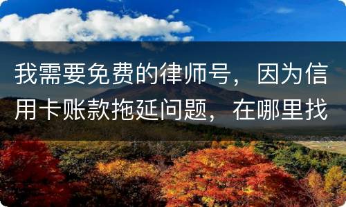 我需要免费的律师号，因为信用卡账款拖延问题，在哪里找