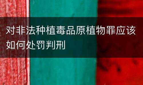 对非法种植毒品原植物罪应该如何处罚判刑