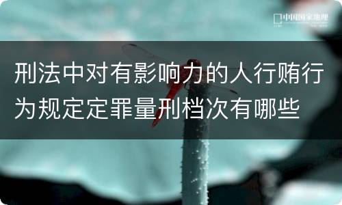 刑法中对有影响力的人行贿行为规定定罪量刑档次有哪些