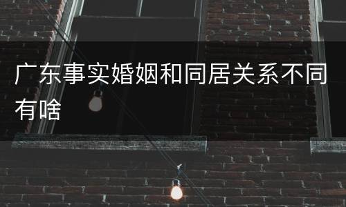 广东事实婚姻和同居关系不同有啥