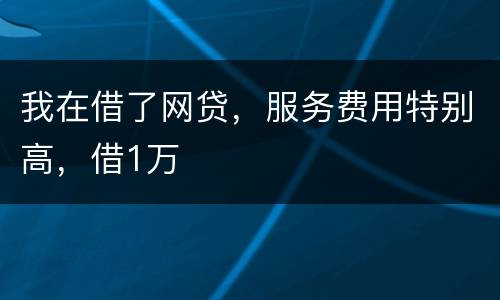 我在借了网贷，服务费用特别高，借1万