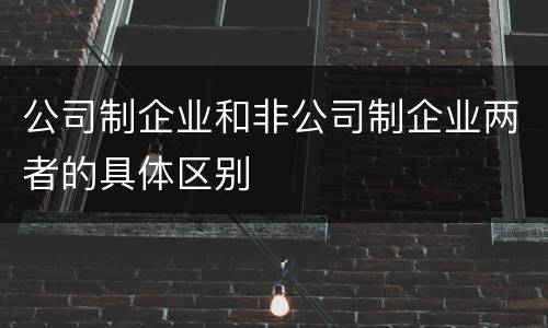 公司制企业和非公司制企业两者的具体区别