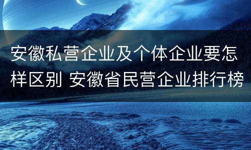 安徽私营企业及个体企业要怎样区别 安徽省民营企业排行榜