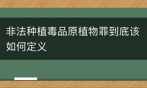 非法种植毒品原植物罪到底该如何定义