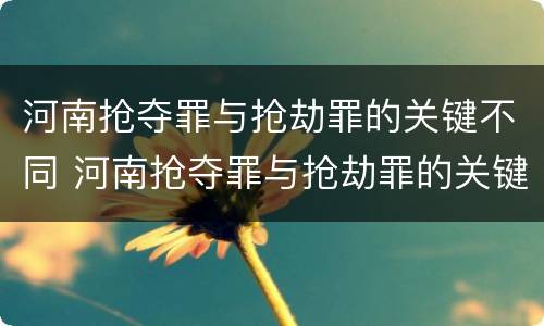 河南抢夺罪与抢劫罪的关键不同 河南抢夺罪与抢劫罪的关键不同之处