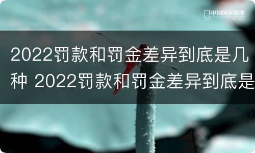 2022罚款和罚金差异到底是几种 2022罚款和罚金差异到底是几种情况