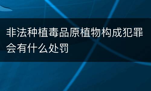 非法种植毒品原植物构成犯罪会有什么处罚