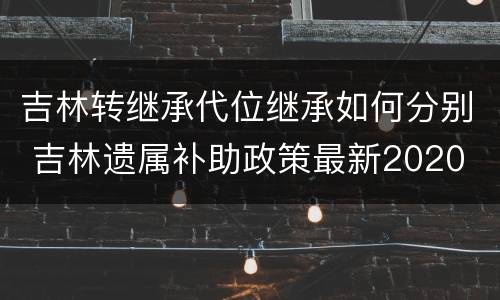 吉林转继承代位继承如何分别 吉林遗属补助政策最新2020