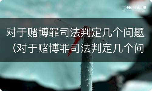 对于赌博罪司法判定几个问题（对于赌博罪司法判定几个问题的认定）