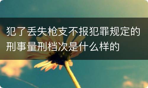 犯了丢失枪支不报犯罪规定的刑事量刑档次是什么样的