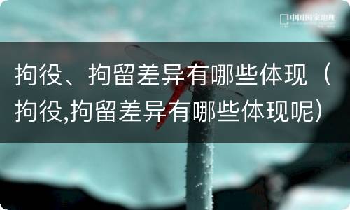 拘役、拘留差异有哪些体现（拘役,拘留差异有哪些体现呢）