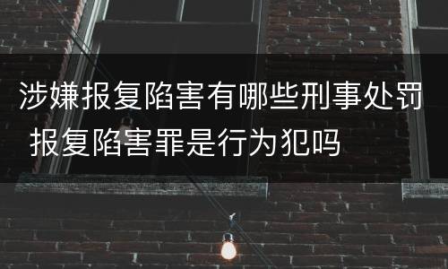 涉嫌报复陷害有哪些刑事处罚 报复陷害罪是行为犯吗