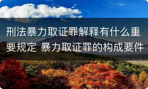 刑法暴力取证罪解释有什么重要规定 暴力取证罪的构成要件