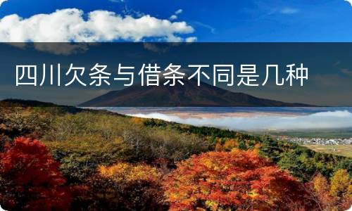 四川欠条与借条不同是几种