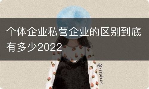 个体企业私营企业的区别到底有多少2022