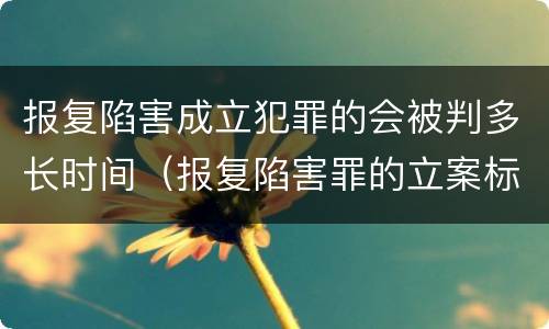 报复陷害成立犯罪的会被判多长时间（报复陷害罪的立案标准）