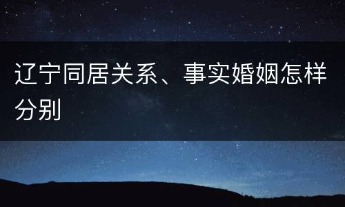 辽宁同居关系、事实婚姻怎样分别