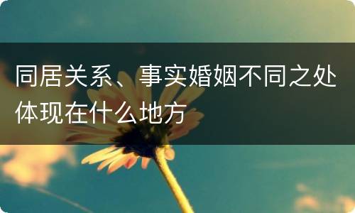 同居关系、事实婚姻不同之处体现在什么地方