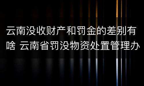 云南没收财产和罚金的差别有啥 云南省罚没物资处置管理办法