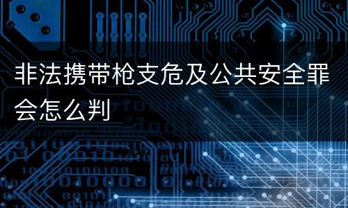 非法携带枪支危及公共安全罪会怎么判