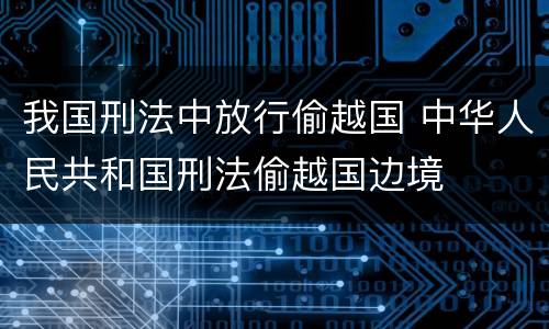 我国刑法中放行偷越国 中华人民共和国刑法偷越国边境