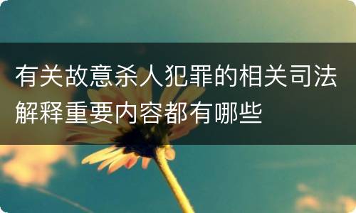 有关故意杀人犯罪的相关司法解释重要内容都有哪些