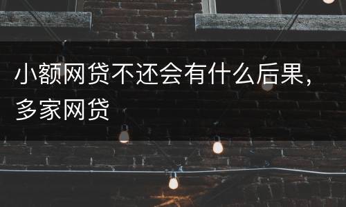 小额网贷不还会有什么后果，多家网贷