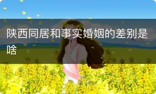 陕西同居和事实婚姻的差别是啥