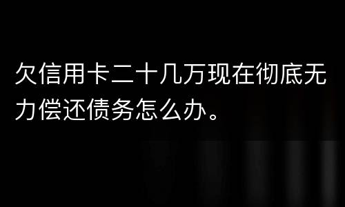 欠信用卡二十几万现在彻底无力偿还债务怎么办。