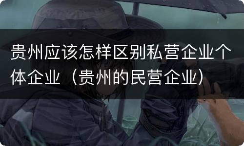 贵州应该怎样区别私营企业个体企业（贵州的民营企业）