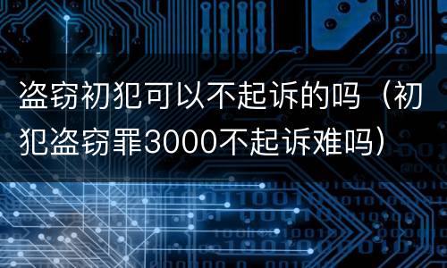 盗窃初犯可以不起诉的吗（初犯盗窃罪3000不起诉难吗）