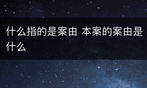 什么指的是案由 本案的案由是什么