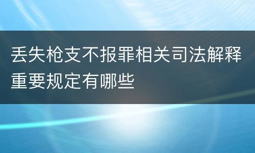 丢失枪支不报罪相关司法解释重要规定有哪些