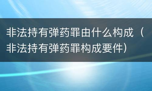 非法持有弹药罪由什么构成（非法持有弹药罪构成要件）