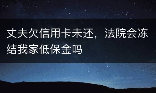 丈夫欠信用卡未还，法院会冻结我家低保金吗