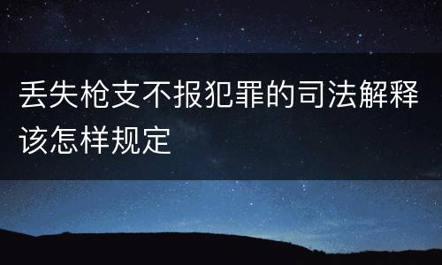 丢失枪支不报犯罪的司法解释该怎样规定