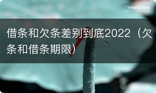 借条和欠条差别到底2022（欠条和借条期限）