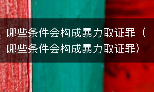 哪些条件会构成暴力取证罪（哪些条件会构成暴力取证罪）