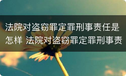 法院对盗窃罪定罪刑事责任是怎样 法院对盗窃罪定罪刑事责任是怎样定的