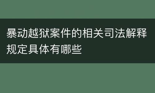 暴动越狱案件的相关司法解释规定具体有哪些