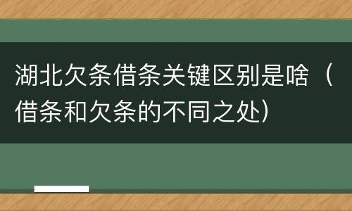 湖北欠条借条关键区别是啥（借条和欠条的不同之处）