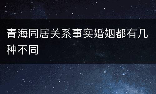 青海同居关系事实婚姻都有几种不同