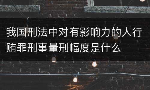 我国刑法中对有影响力的人行贿罪刑事量刑幅度是什么